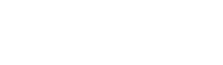 DNE Energy Inc.